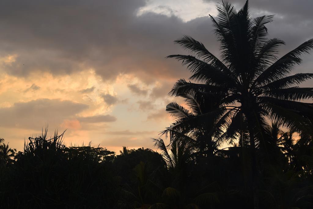 Bali Taman Sari Villas & Restaurant Pulukan Eksteriør billede